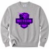 Reverse Weave ® Crewneck Sweatshirt Thumbnail